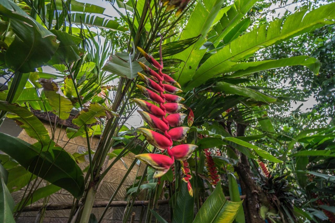 Gasthuis Tegar Ubud